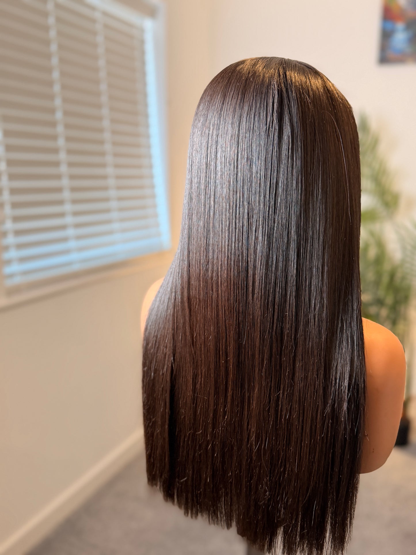 Amara Silky Straight Wig